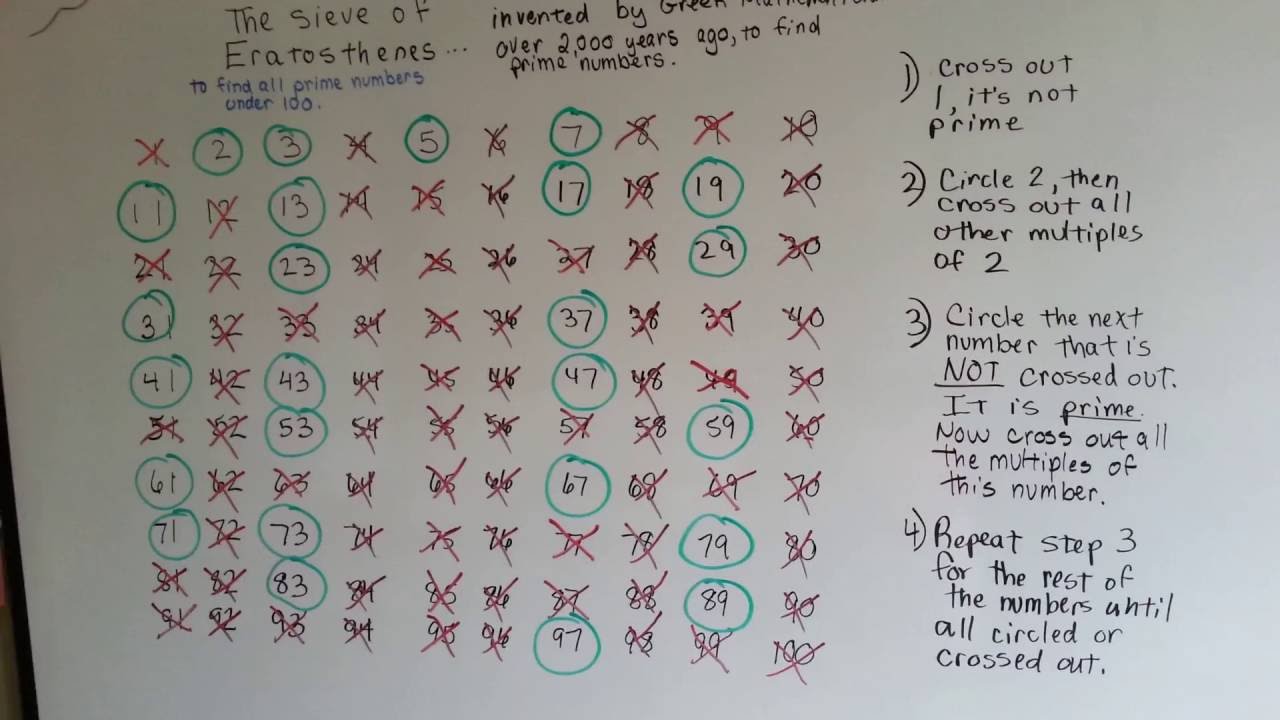 Prime vs. Composite Numbers: Easy Guide for 4th Grade Math 📚