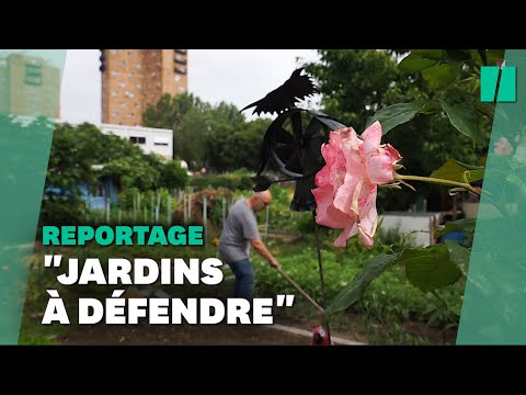 Ă Aubervilliers, les travaux des JO de 2024 bousculent le quotidien des jardiniers