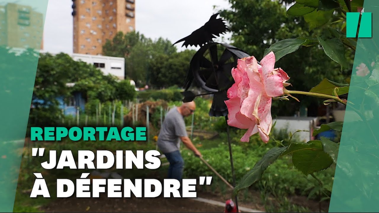 Les Jardiniers d'Aubervilliers Protestent contre les Travaux des JO 2024 🚧