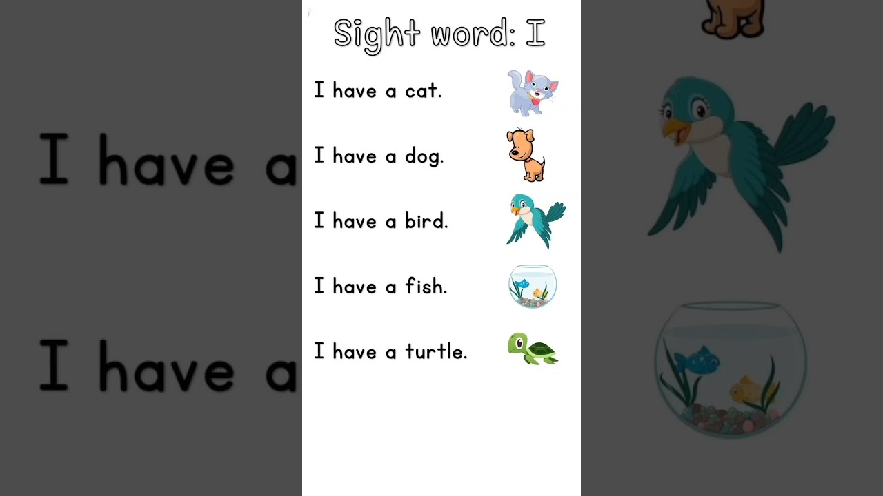 Sight Words for Kids 📚