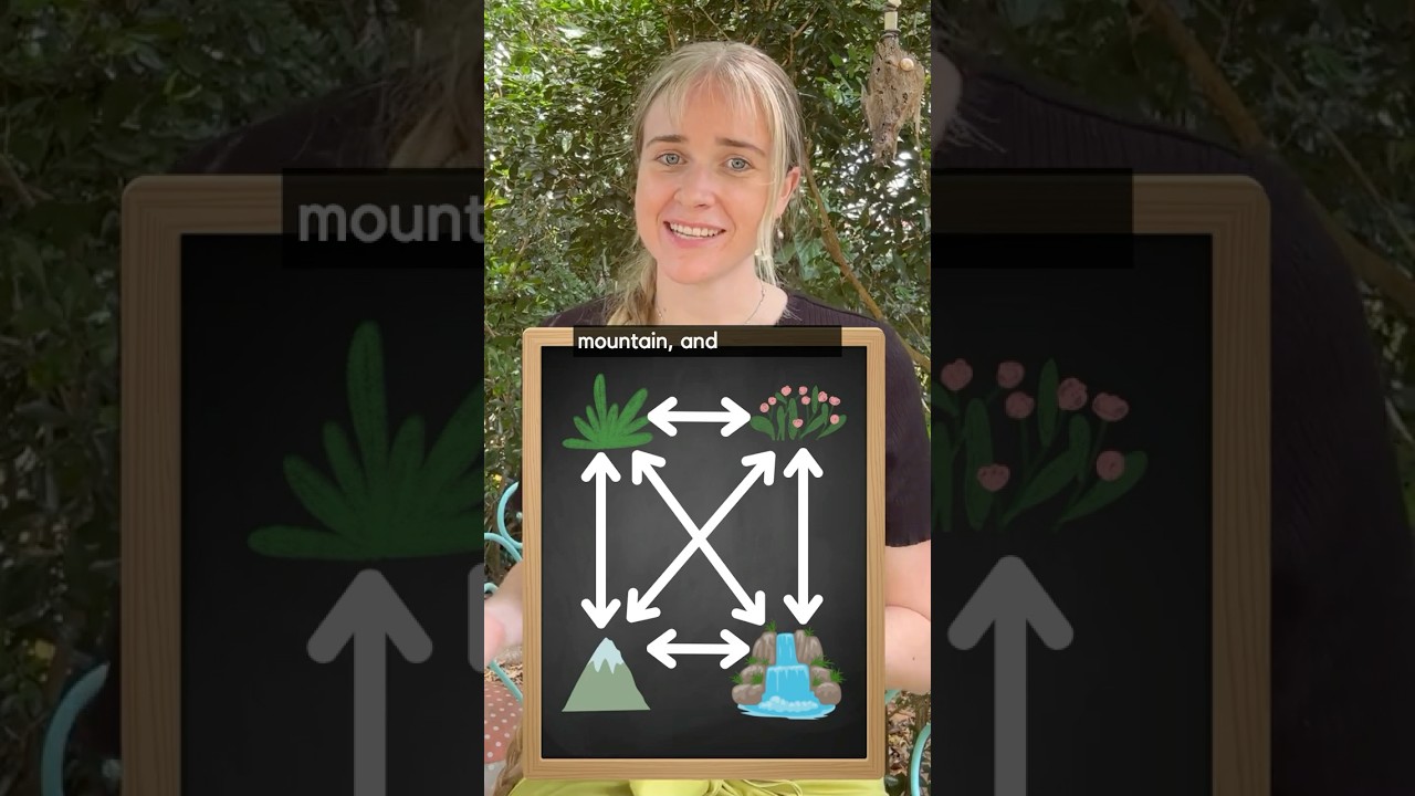 Category Theory Explained in the Style of Bob Ross