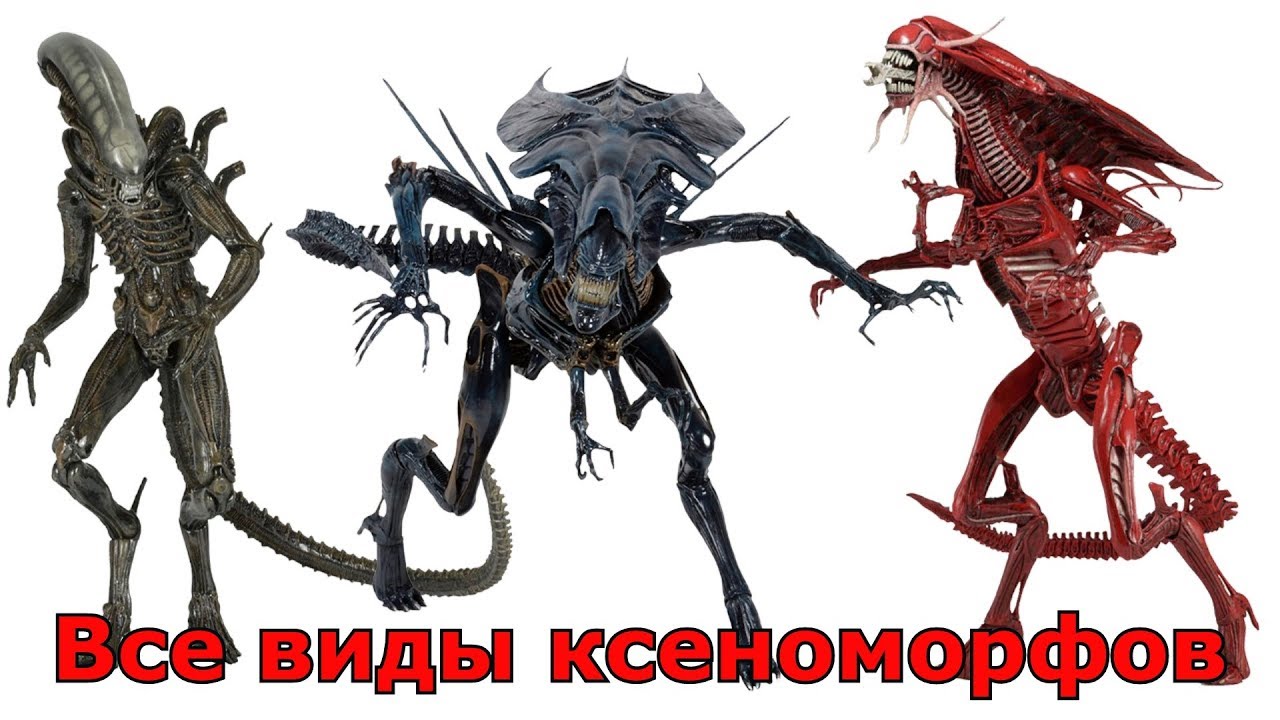 Все виды Ксеноморфов (Чужие): Полное сравнение и особенности 👽
