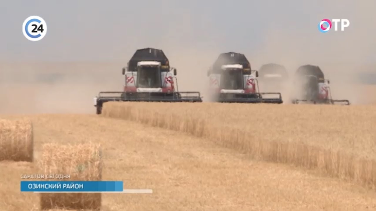 Саратовские фермеры собрали первые 100 тысяч зерна, сообщает губернатор