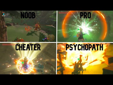 9 Types of BotW Players 🎮 - Which Are You?