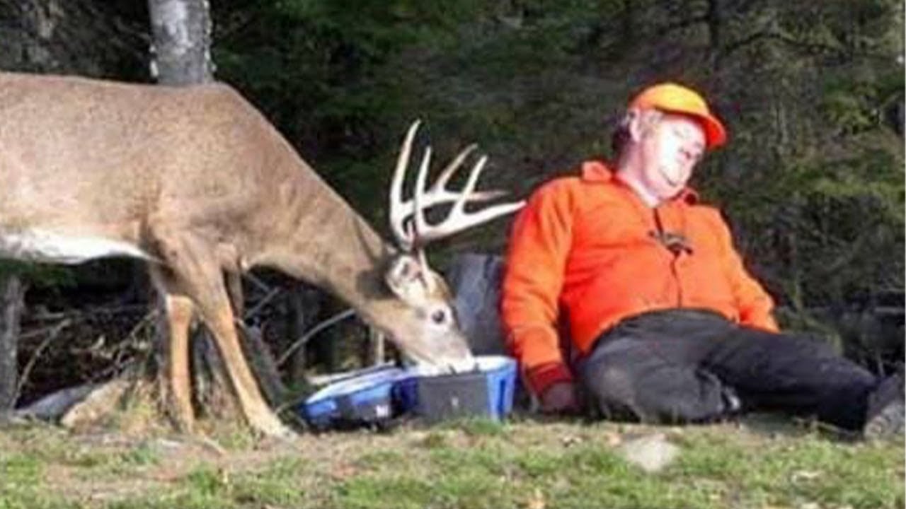 Rare Wild Animal Moments Caught on Camera 🐾