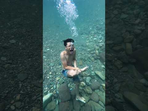 #trending #youtubeshorts #shorts #nature #adventure