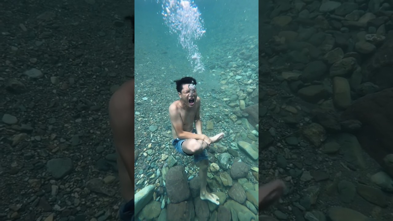 Explore Nature & Adventure in Shorts πΏ