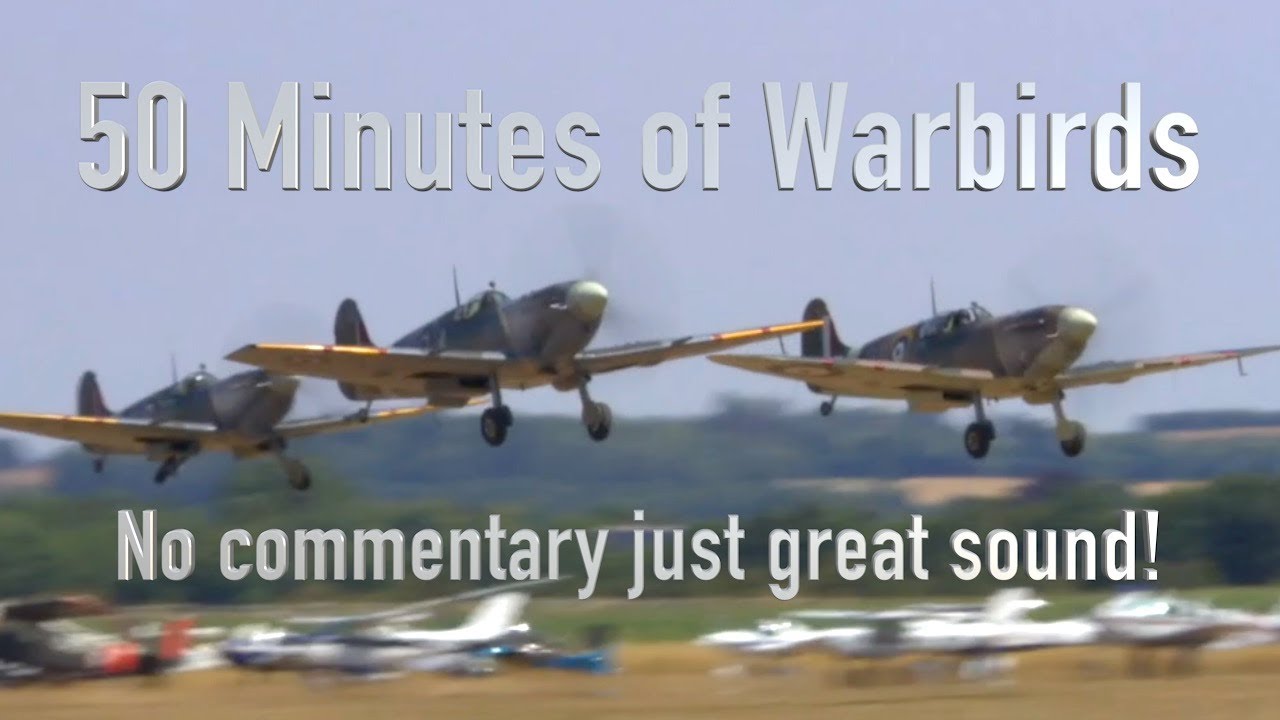 50 Minutes of Stunning Warbird Flight | Incredible WWII Aircraft Sounds ✈️
