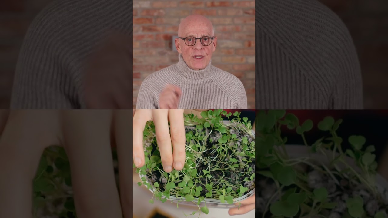 Das gesündeste Lebensmittel der Welt 🥗