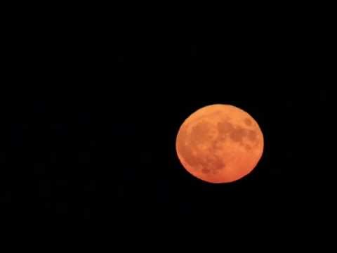 Supervollmond - 14.11.2016