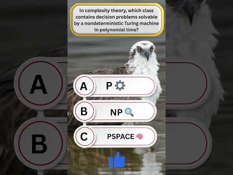In complexity theory, which class contains decision problems solvable by a nondeterministic Turing