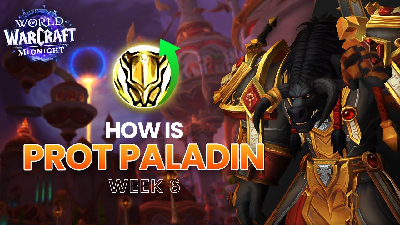 Protection Paladin Now Playable in Beta 🛡️