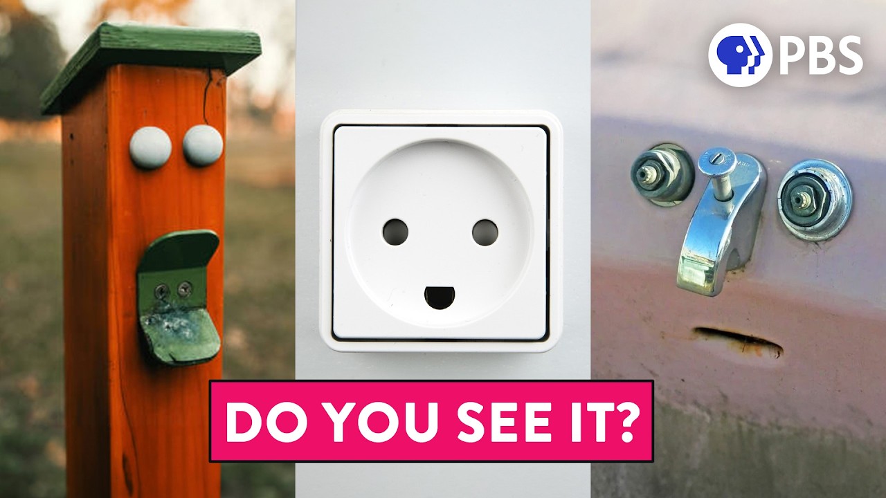 Why Do We See Faces in Things? π€