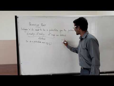 Finding primitive root