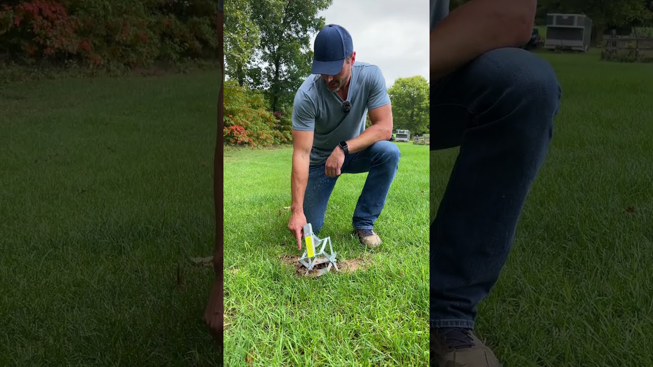 Effective Ways to Kill Moles in Your Lawn 🐾