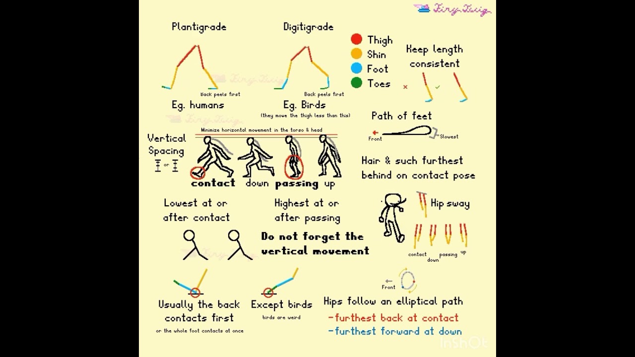 Biped Walk Cycle Animation Tutorial 🎥