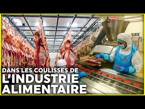 Alimentation industrielle : qu'y a-t-il vraiment dans nos assiettes ?