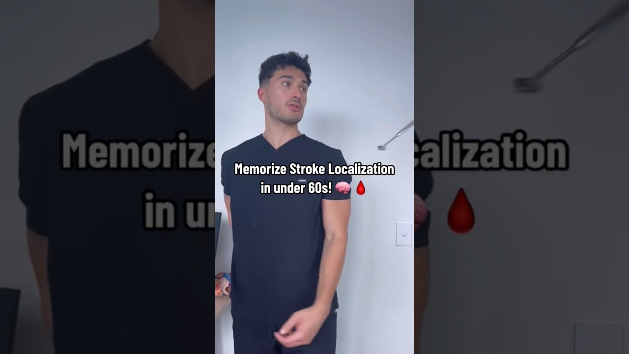 Memorize #stroke  localization in under 60s! 🧠🩸#shorts #medstudent #neuro #neurology #medschool