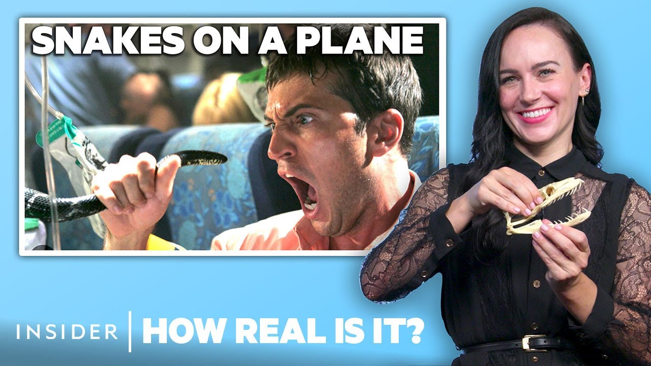 Snake Expert Rates Movie Snake Attacks π