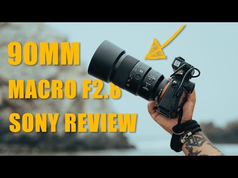 SONY 90MM F2.8 | LENTE MACRO | SONY A7III