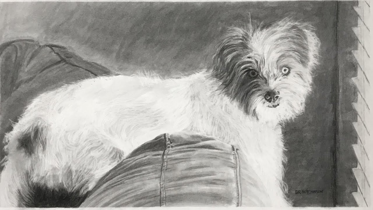 Step-by-Step Realistic Dog Drawing 🐶