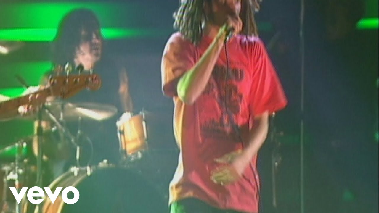 Rage Against The Machine - Bulls on Parade 🎸