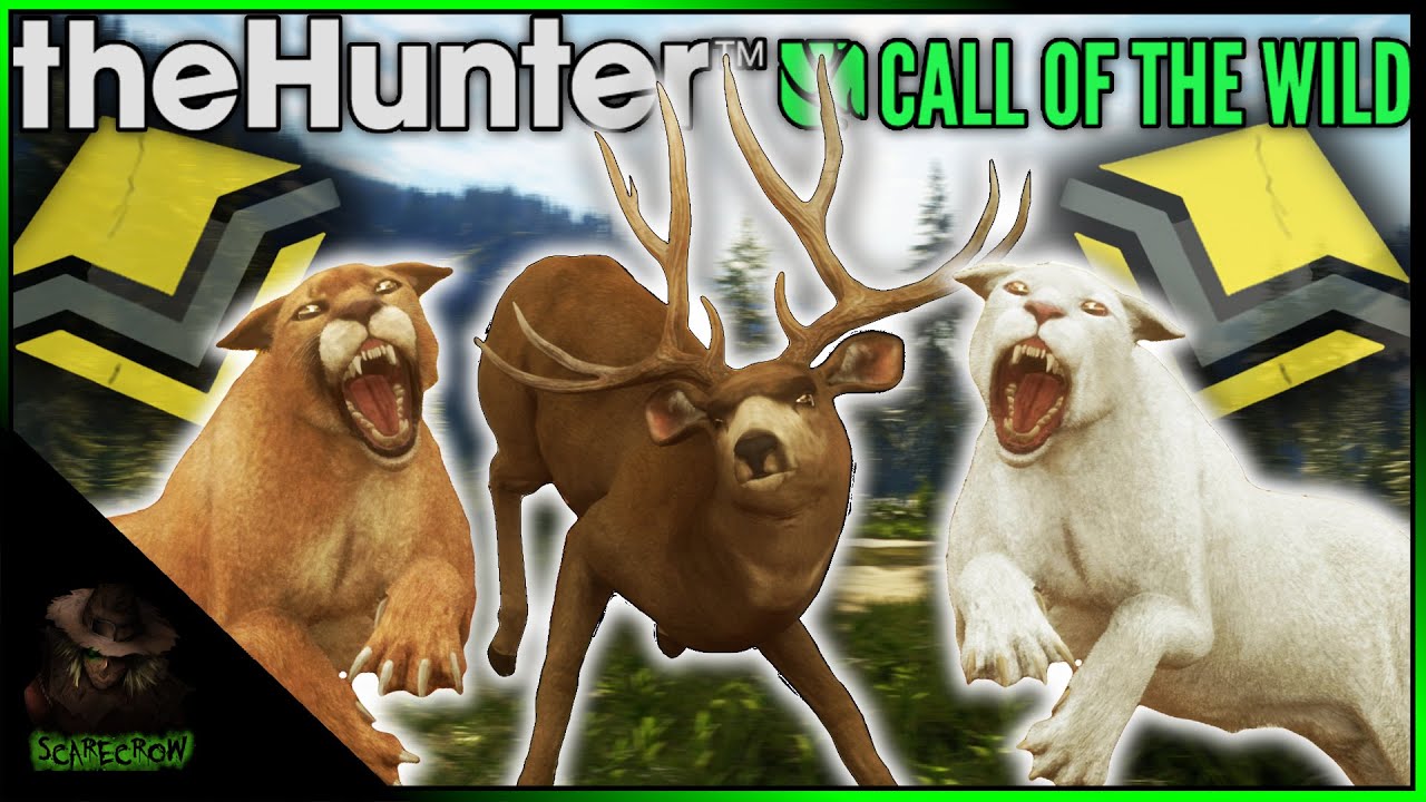 Multiplayer Hunt! 5 Diamonds & Rares on SRP 🦌