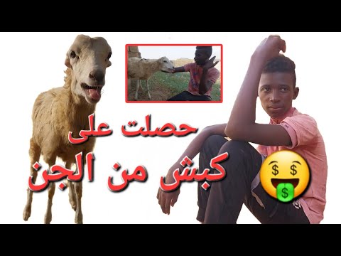 فلم الكبش الجني |شاهد للنهايه مشهد كوميدي 😅