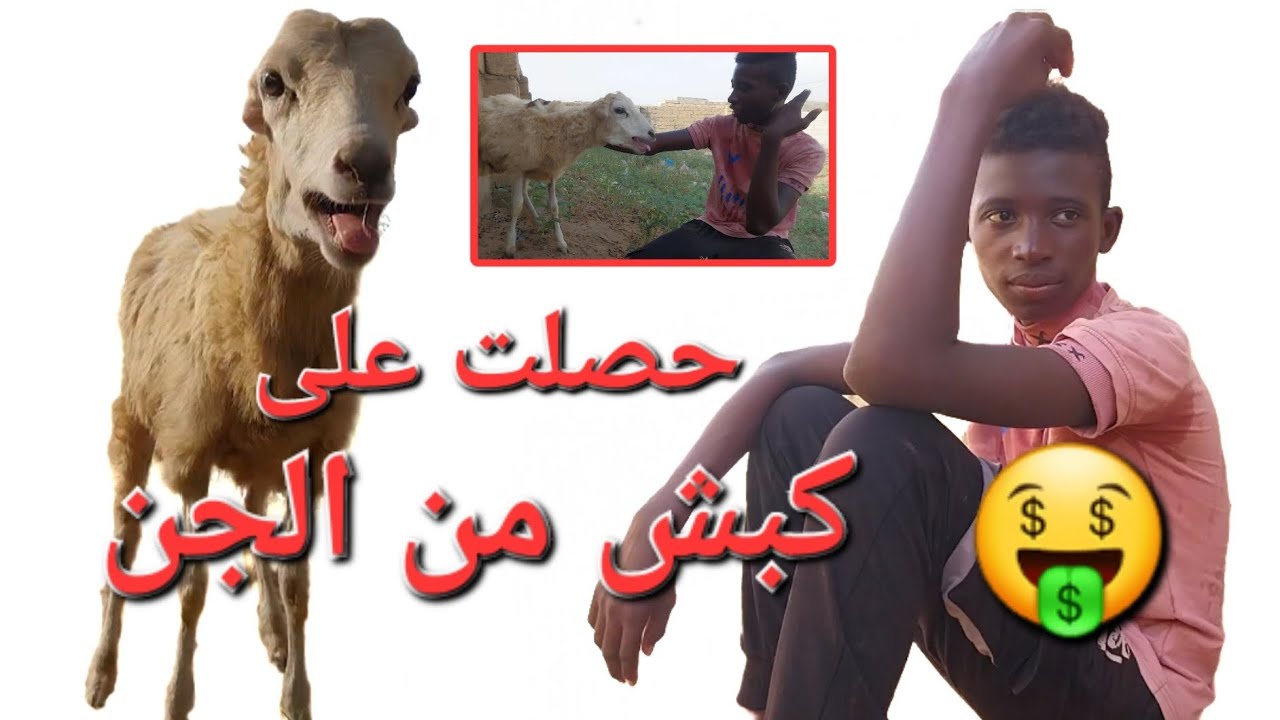 فلم الكبش الجني الكوميدي – مشهد مضحك لن تندم على مشاهدته 😅