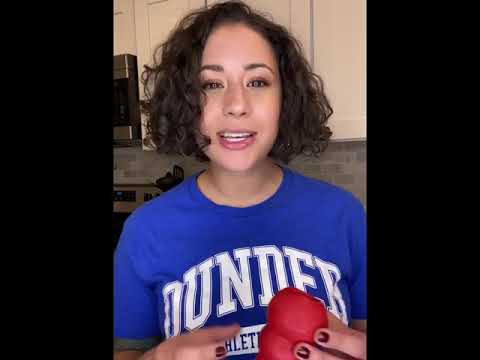 Easy Guide to Stuffing a Kong 🐶