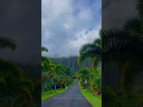 Unreal places in Hawaii you must see | Honolulu, Molokai, Akaka Falls #travel #hawaii