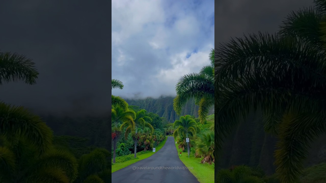 Uncover Hawaii's Hidden Gems: Must-See Spots in Honolulu, Molokai & Akaka Falls 🌺