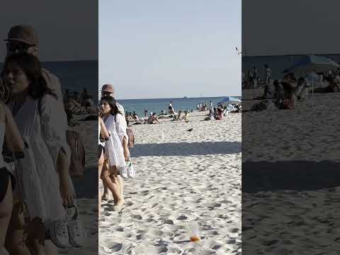 🇺🇸 Chilling at Miami beach 🌴