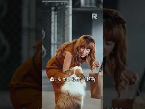 Dog lovers, this one is for you | Cooking My Way Back to Love on ReelShort