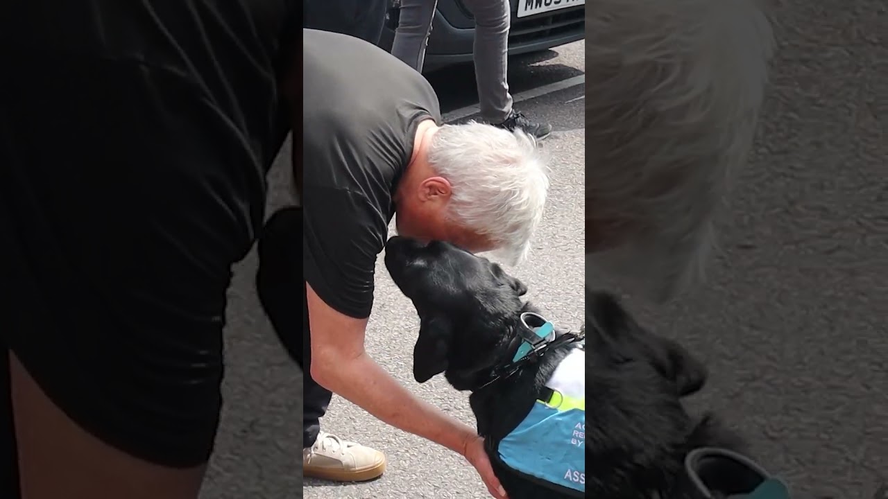 Richard Dean Anderson's Love for Dogs 🐶