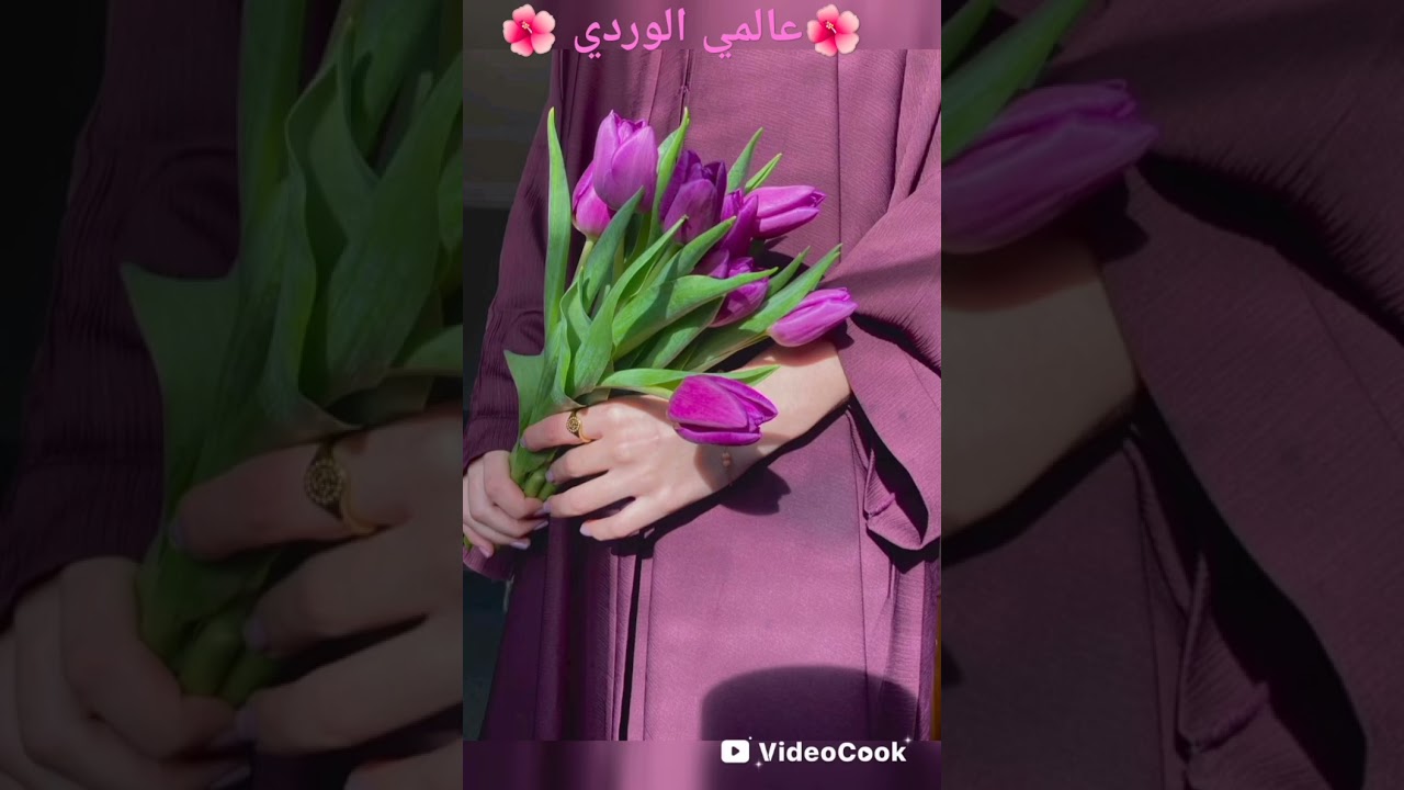 أهمية ظروف البحر وتأثيرها على تصميمي 🍽️