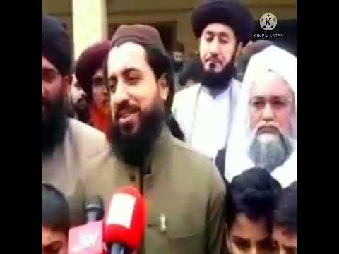 Saad Hussain Rizvi talk to media ❤️ #tlp #tlpstatus