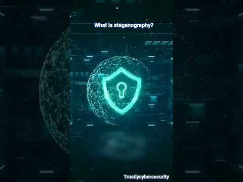 what is steganography? #cybersecurityexpert #cybersecuritycompany #ethicalhacker #onlinesafety