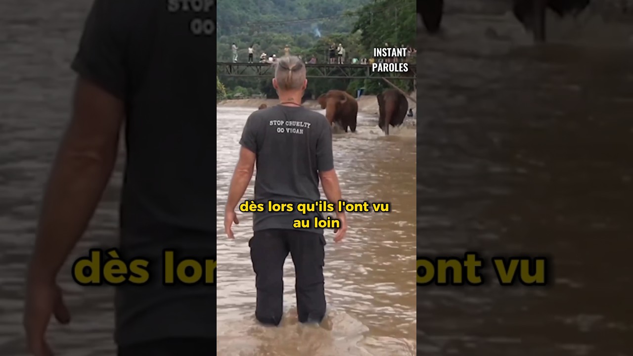 Un homme retrouve après un mois au Canada les éléphants dont il s’était occupé longtemps