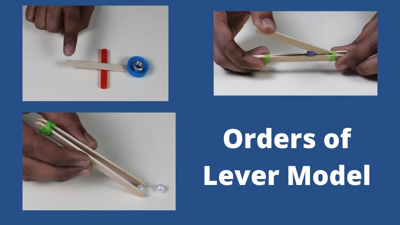 Lever Model Orders | ThinkTac DIY Science