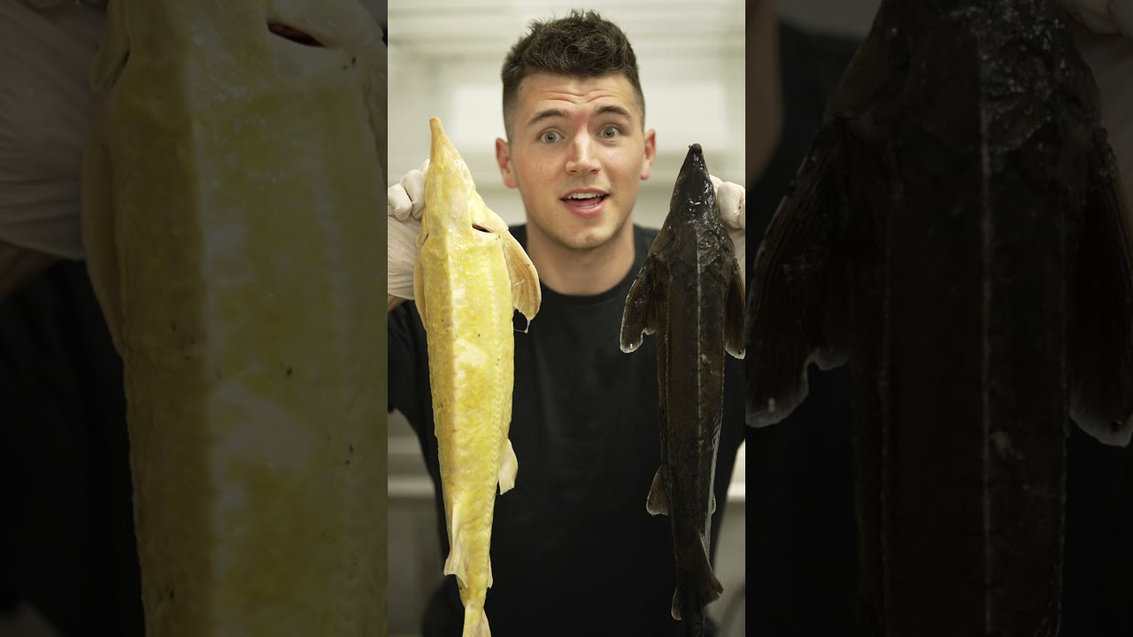 How Caviar Is Made 🐟