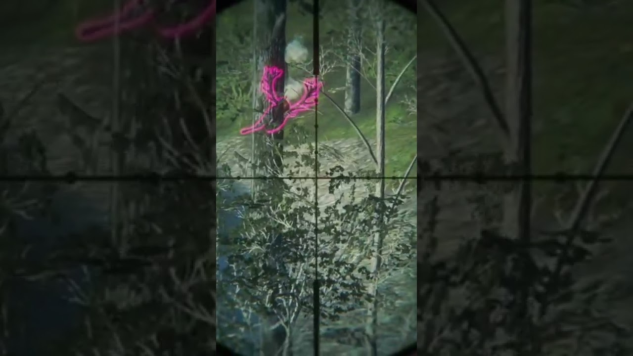 Red Deer Max Weight 270+ in theHunter 🦌