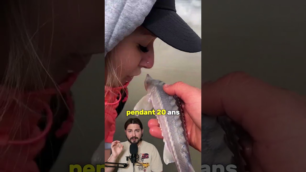 La valeur exceptionnelle des œufs d'esturgeon