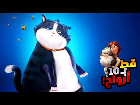 قط شجاع بيضحي بأرواحه كلها علشان ينقذ صاحبته الي بيحبها من الخطر! | أفلام ديزني | ملخص فيلم 10 Lives