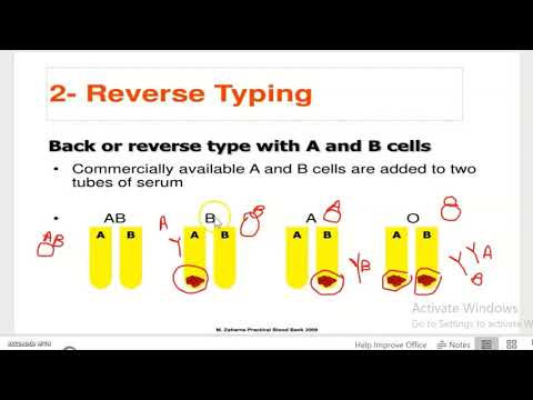 reverse blood grouping procedure|trick to remember