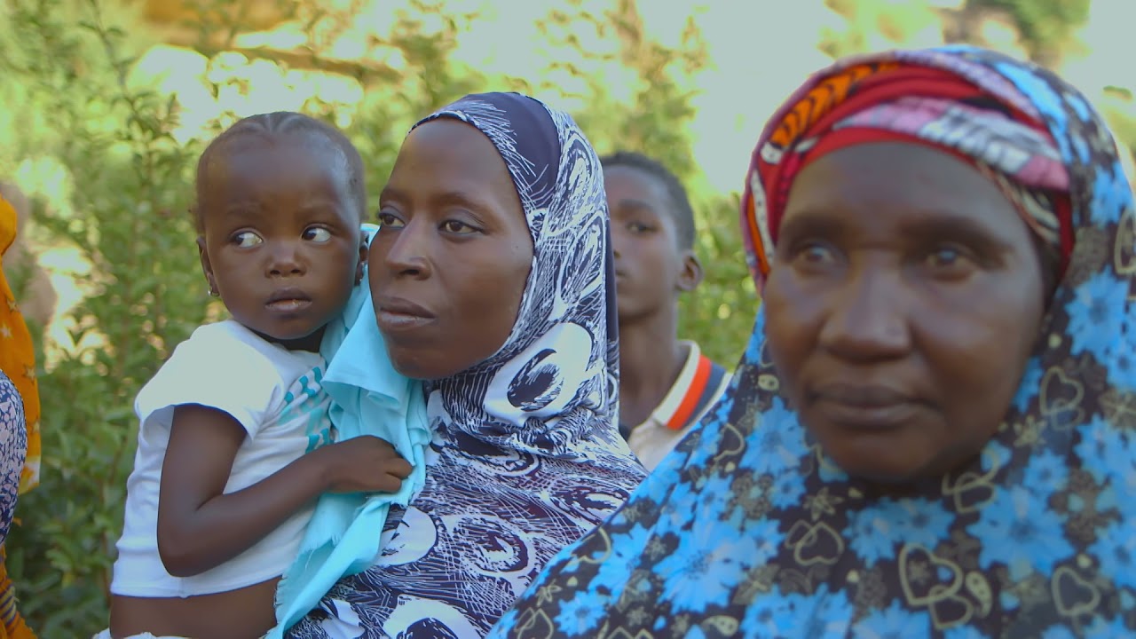 Tiken Jah Fakoly - Gouvernement 20 ans (Official Video)