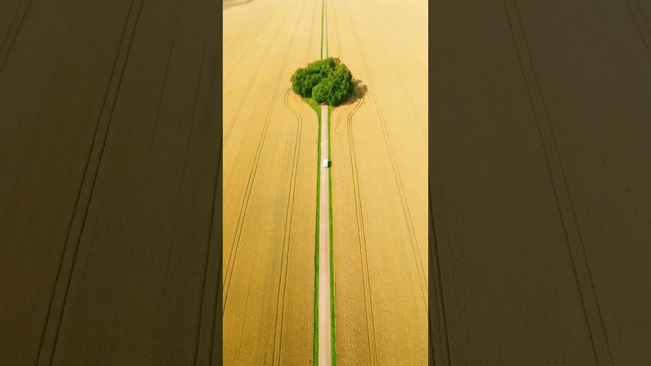 Ulvåsa Slott Road: Scenic Escape in Sweden 🇸🇪