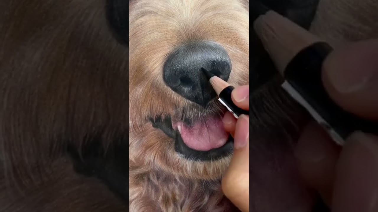 Realistic Dog & Obi-Wan Nose Drawing 🐶✨