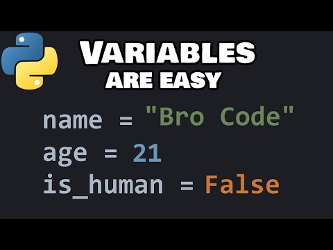 Python variables for beginners â