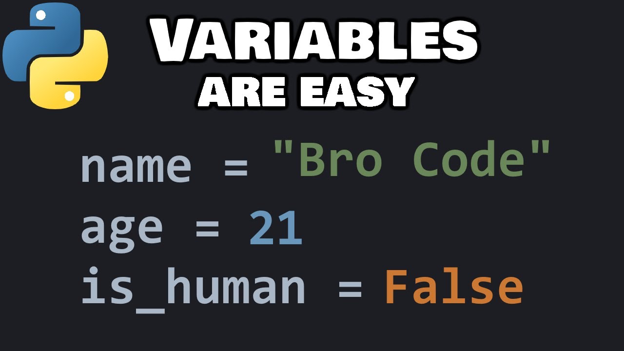 Python Variables for Beginners: Learn the Basics Easily 🐍